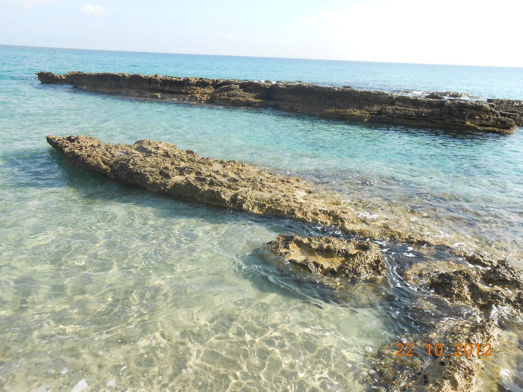 Gli Oleandri *
